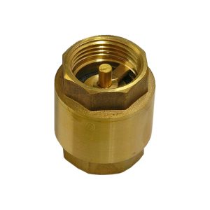 Brass spring check valves from Delvin Flow